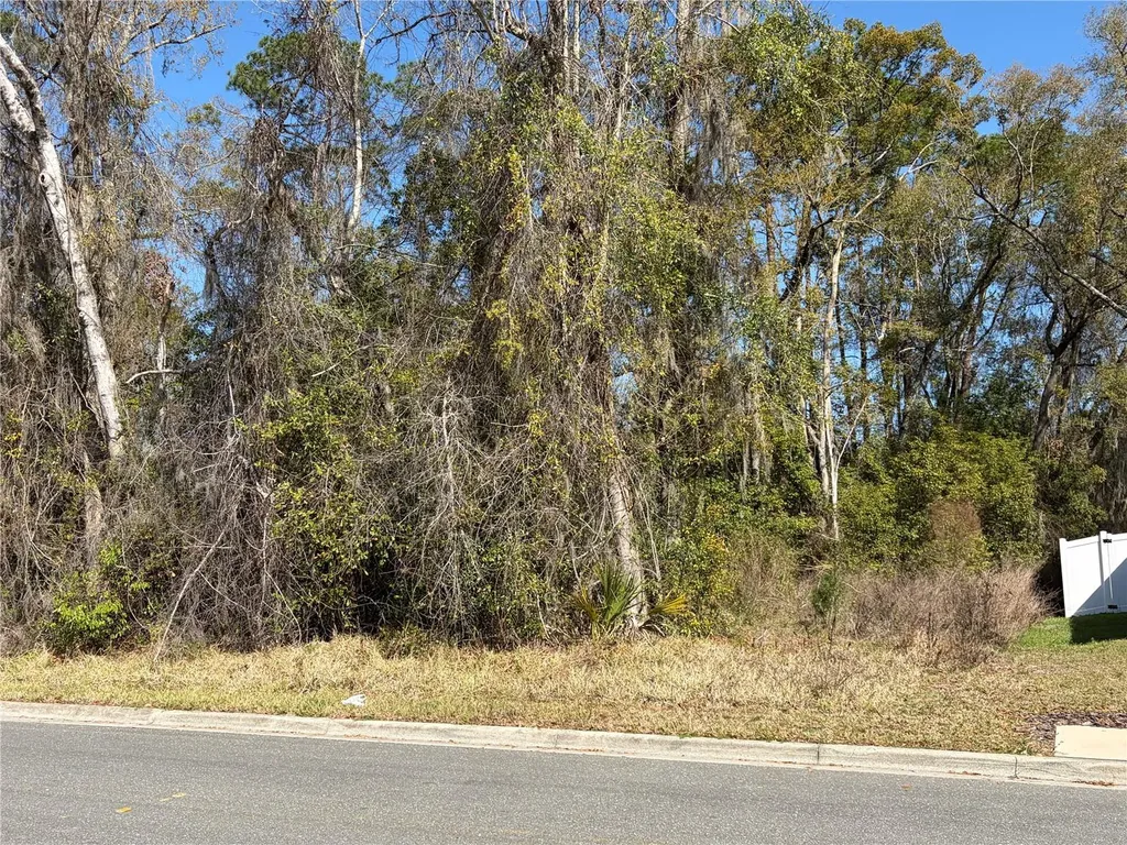 1908 NE 7th Avenue Gainesville FL 32641