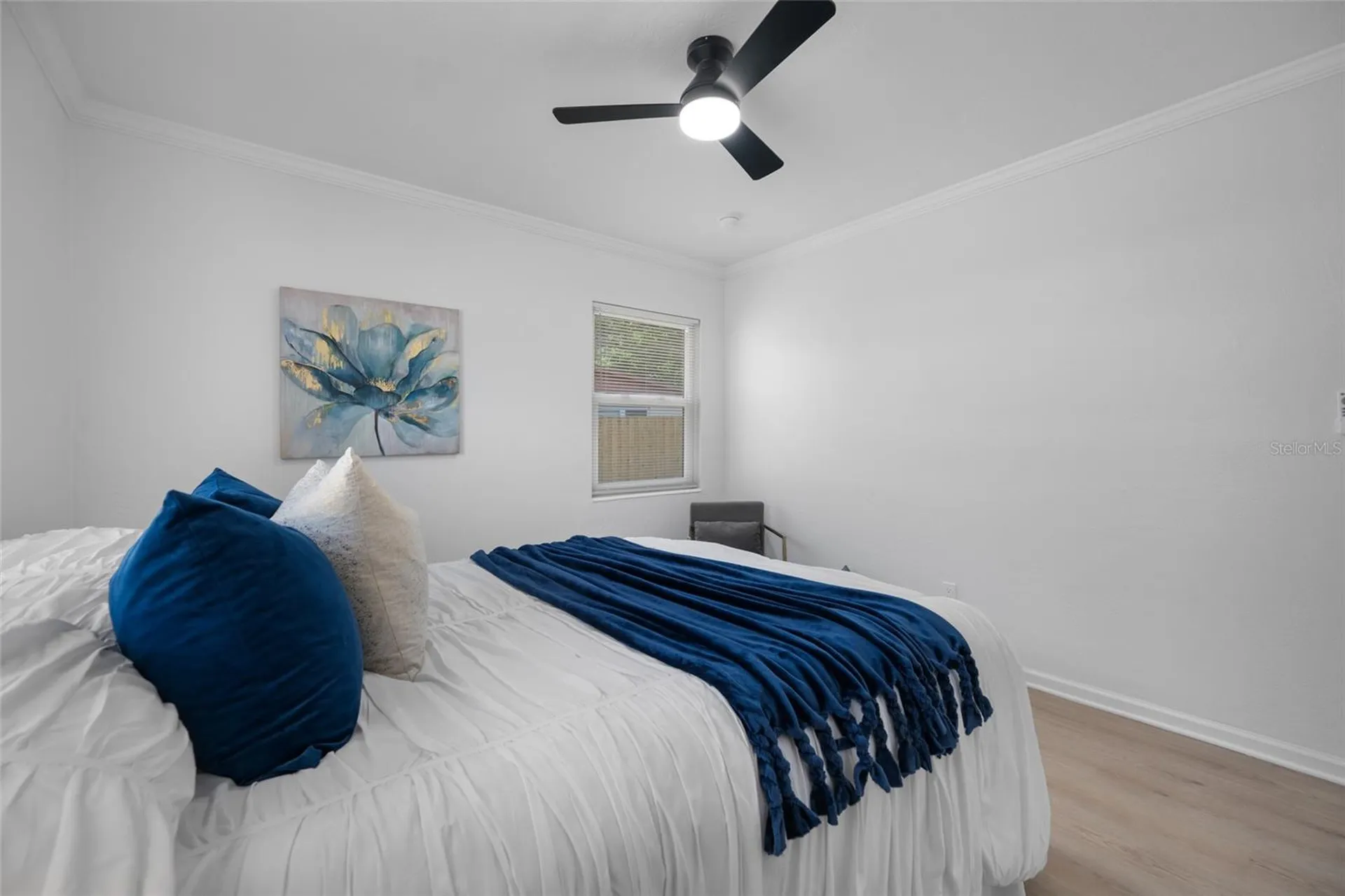 1100 81st Avenue N St Petersburg FL 33702