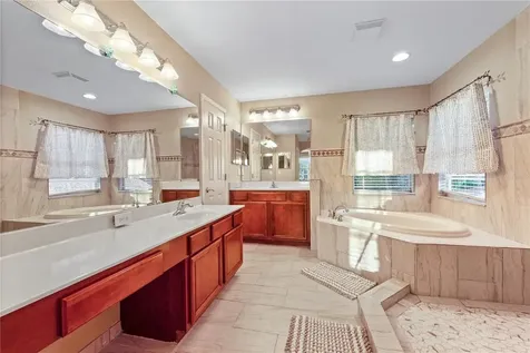 10702 Deerberry Drive Land O Lakes FL 34638