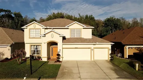 10702 Deerberry Drive Land O Lakes FL 34638