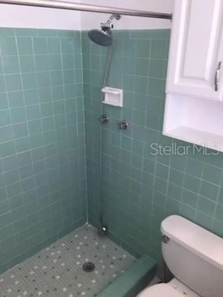 917 S Alder Avenue Orlando FL 32807