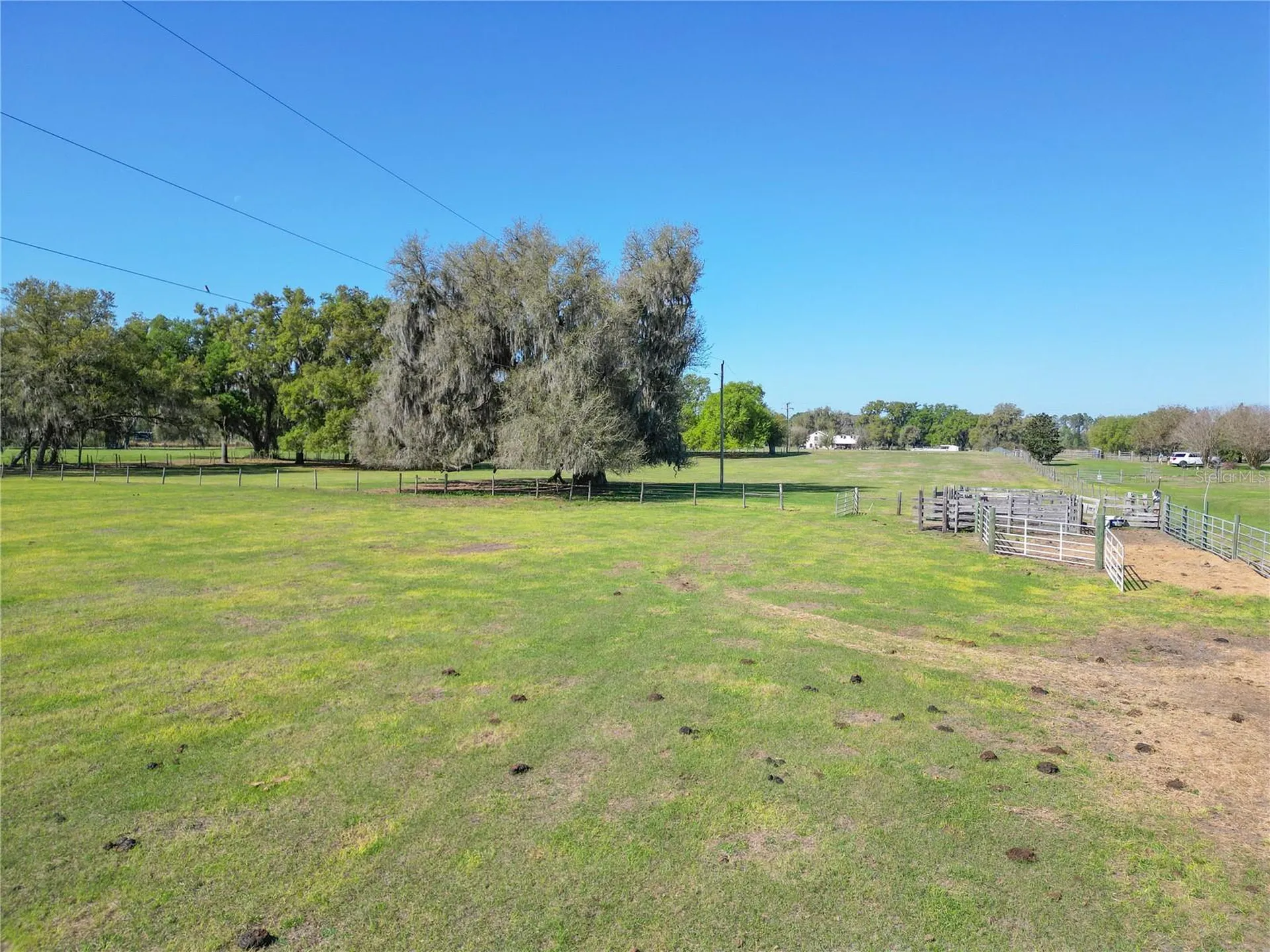 721 Cr 721 Webster FL 33597