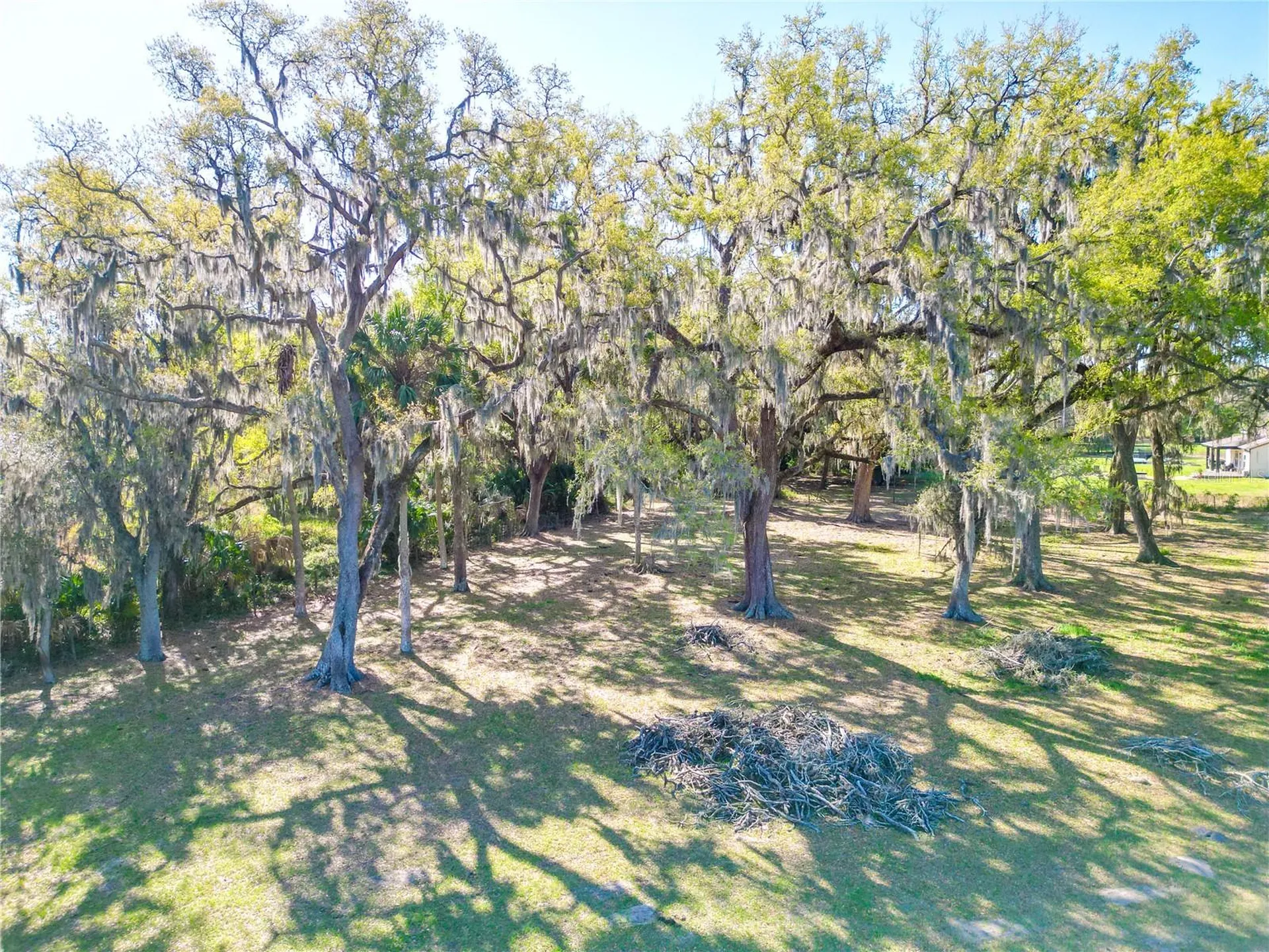 721 Cr 721 Webster FL 33597