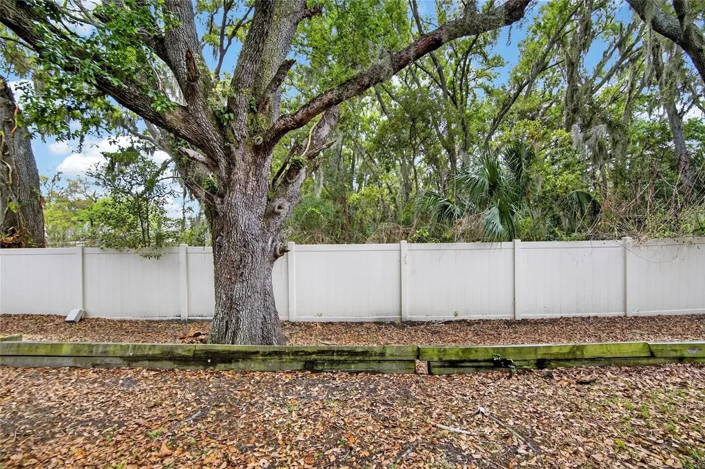 3315 Pleasant Willow Court Brandon FL 33511