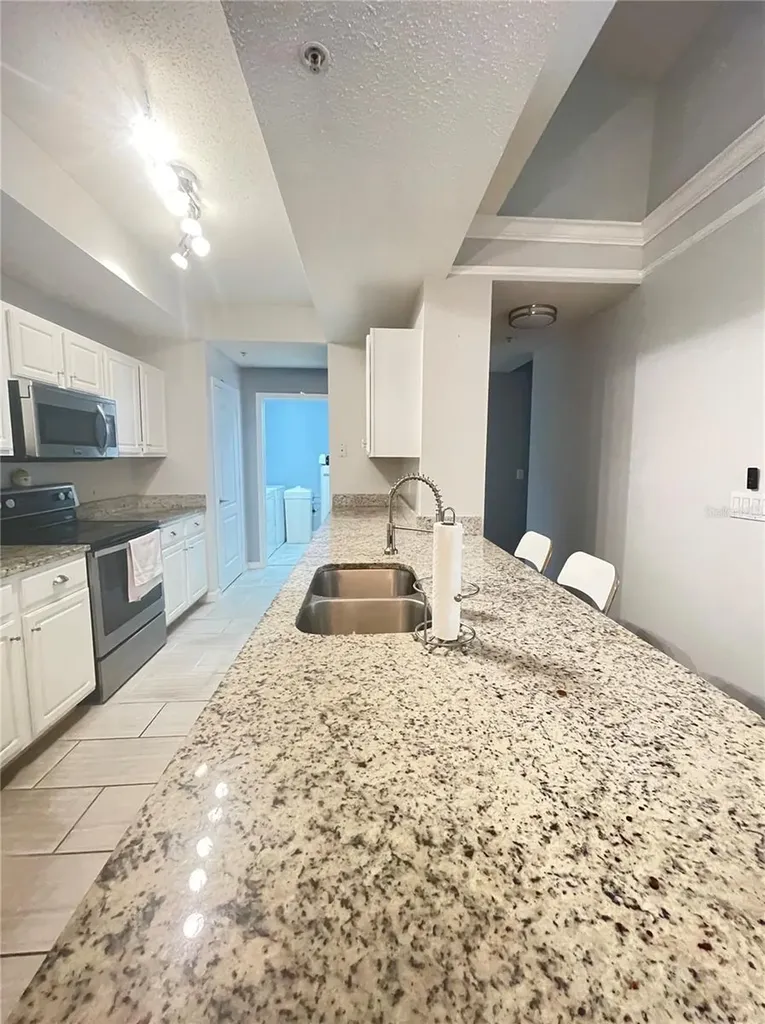 12203 Wild Iris Way Orlando FL 32837