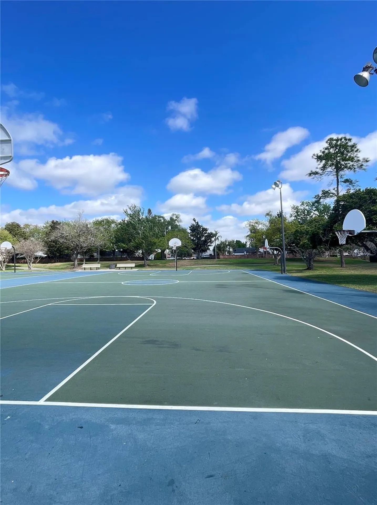 12203 Wild Iris Way Orlando FL 32837