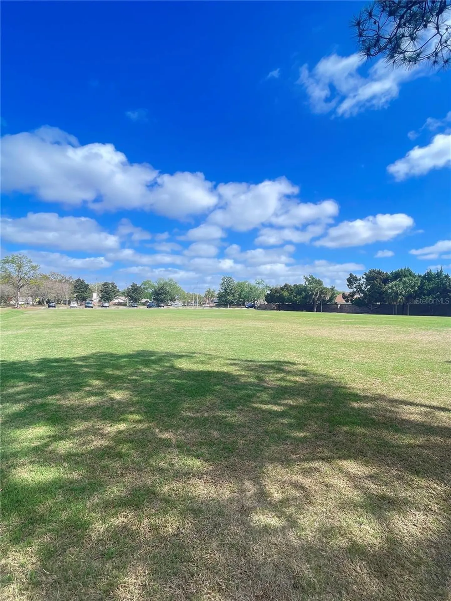 12203 Wild Iris Way Orlando FL 32837