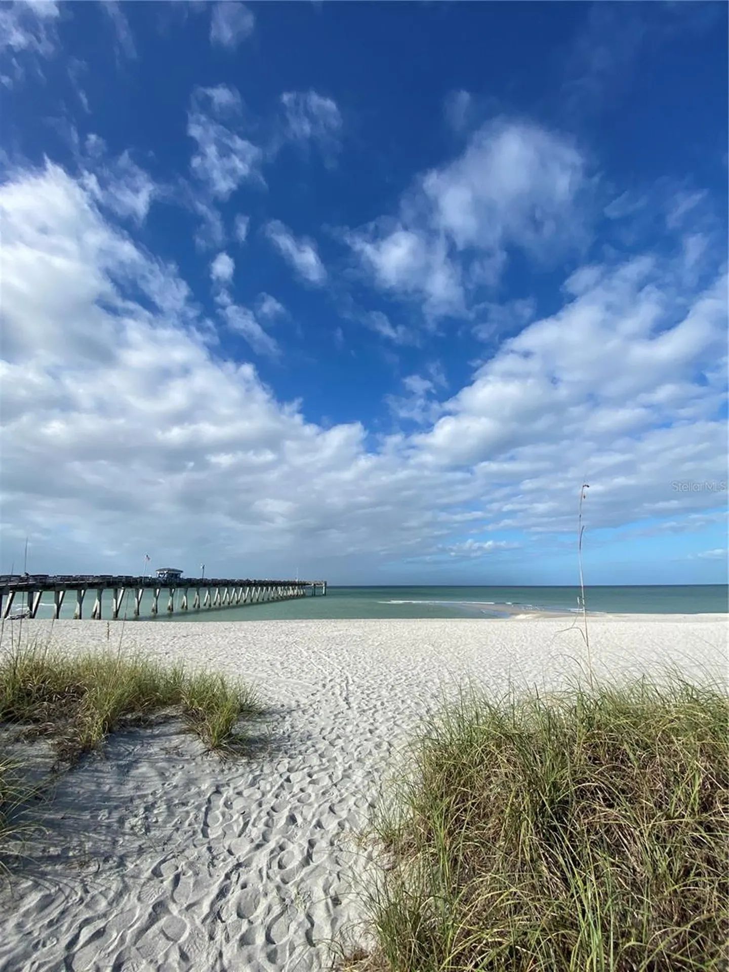 239 Venetia Avenue North Port FL 34287