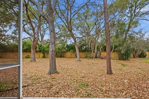9333 Stone River Place Riverview FL 33578