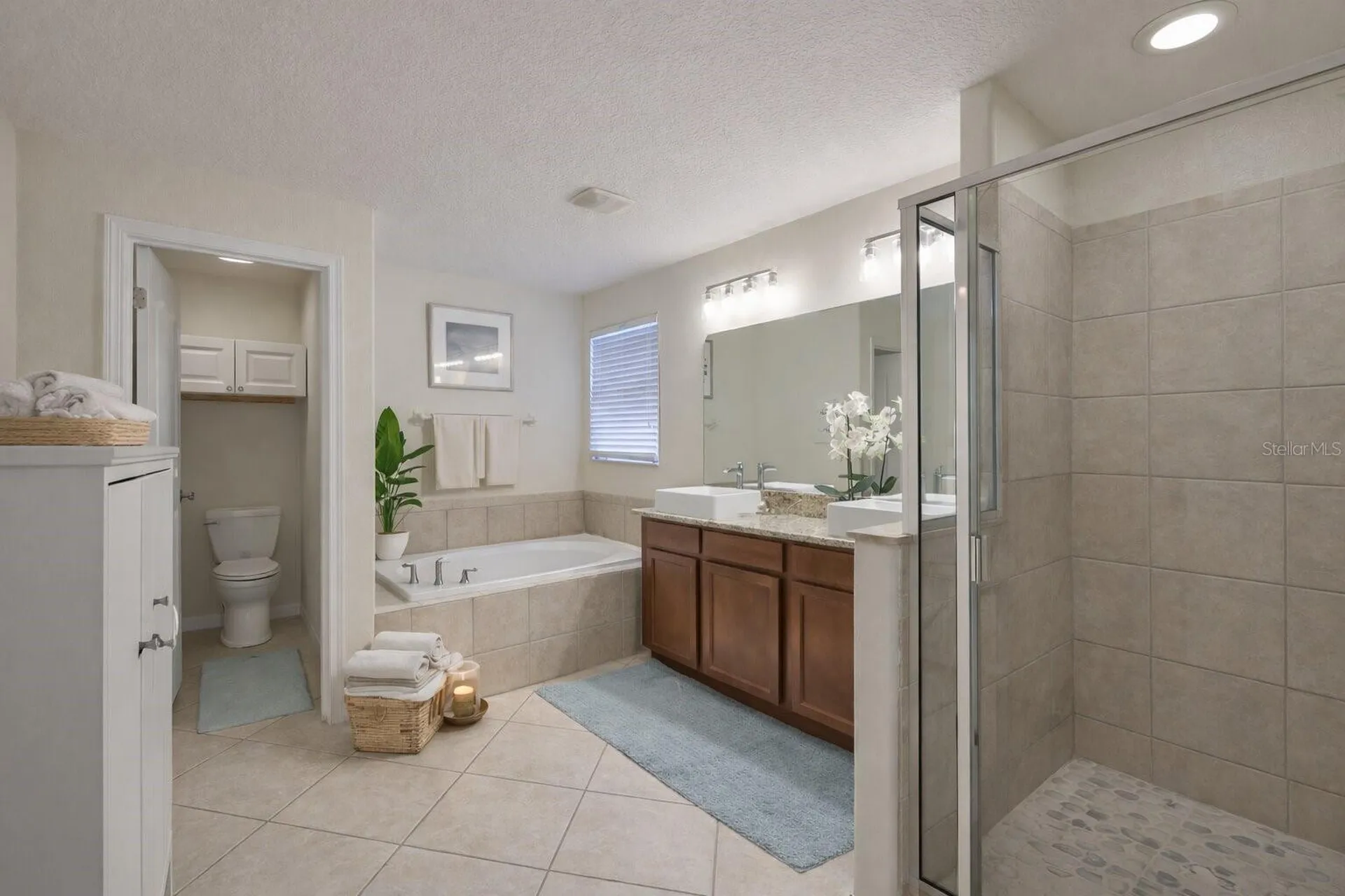 10335 Summer Azure Drive Riverview FL 33578