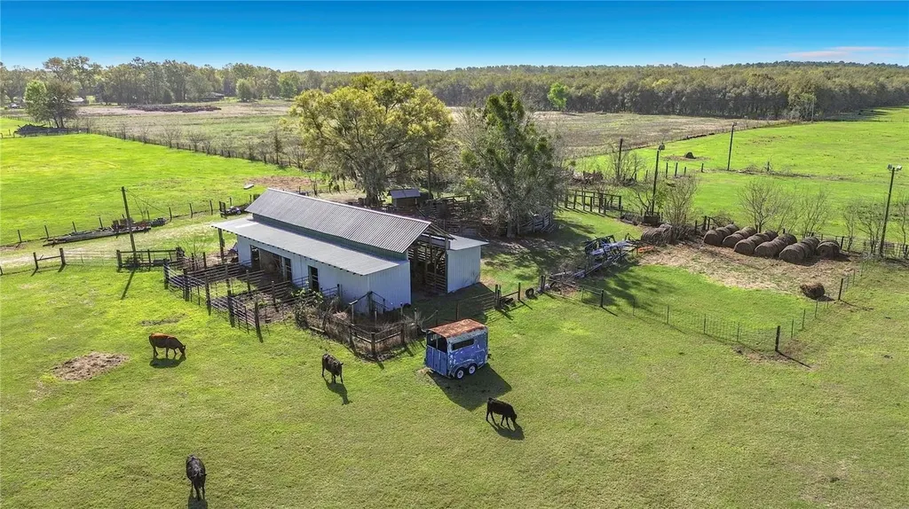 855 NE 107th Road Oxford FL 34484