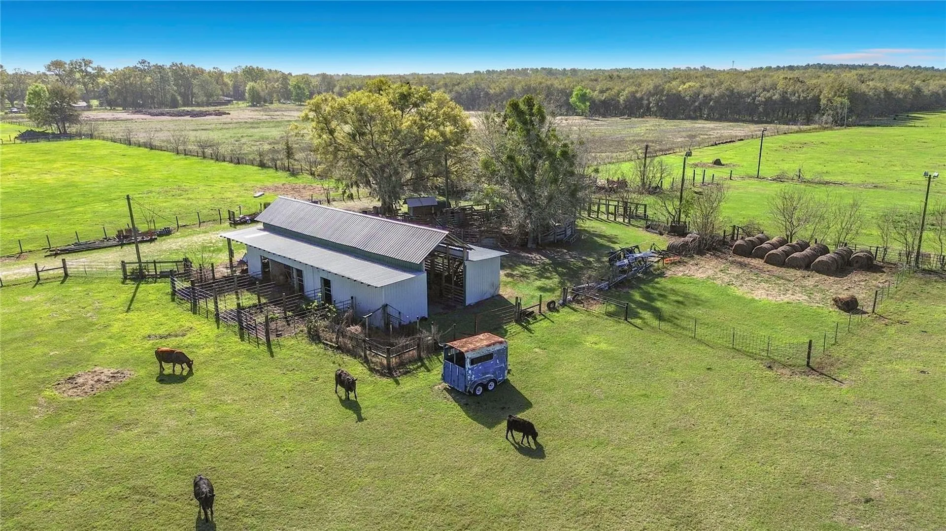 855 NE 107th Road Oxford FL 34484