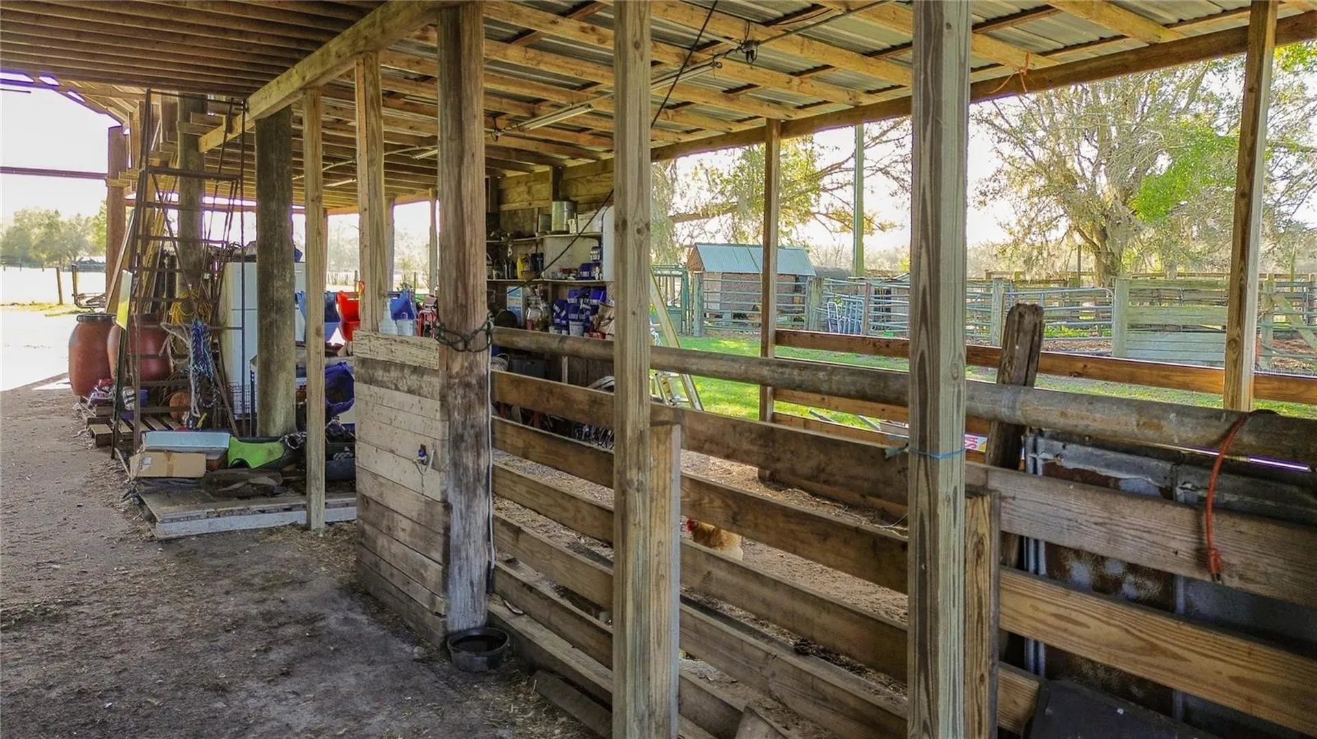855 NE 107th Road Oxford FL 34484