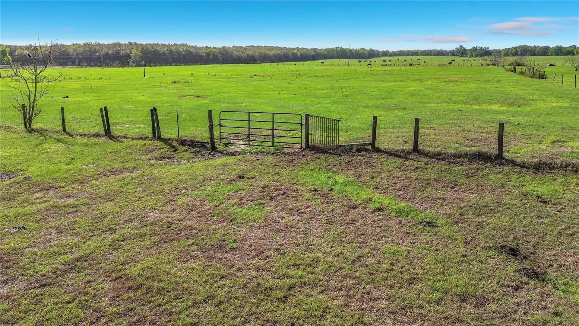 855 NE 107th Road Oxford FL 34484