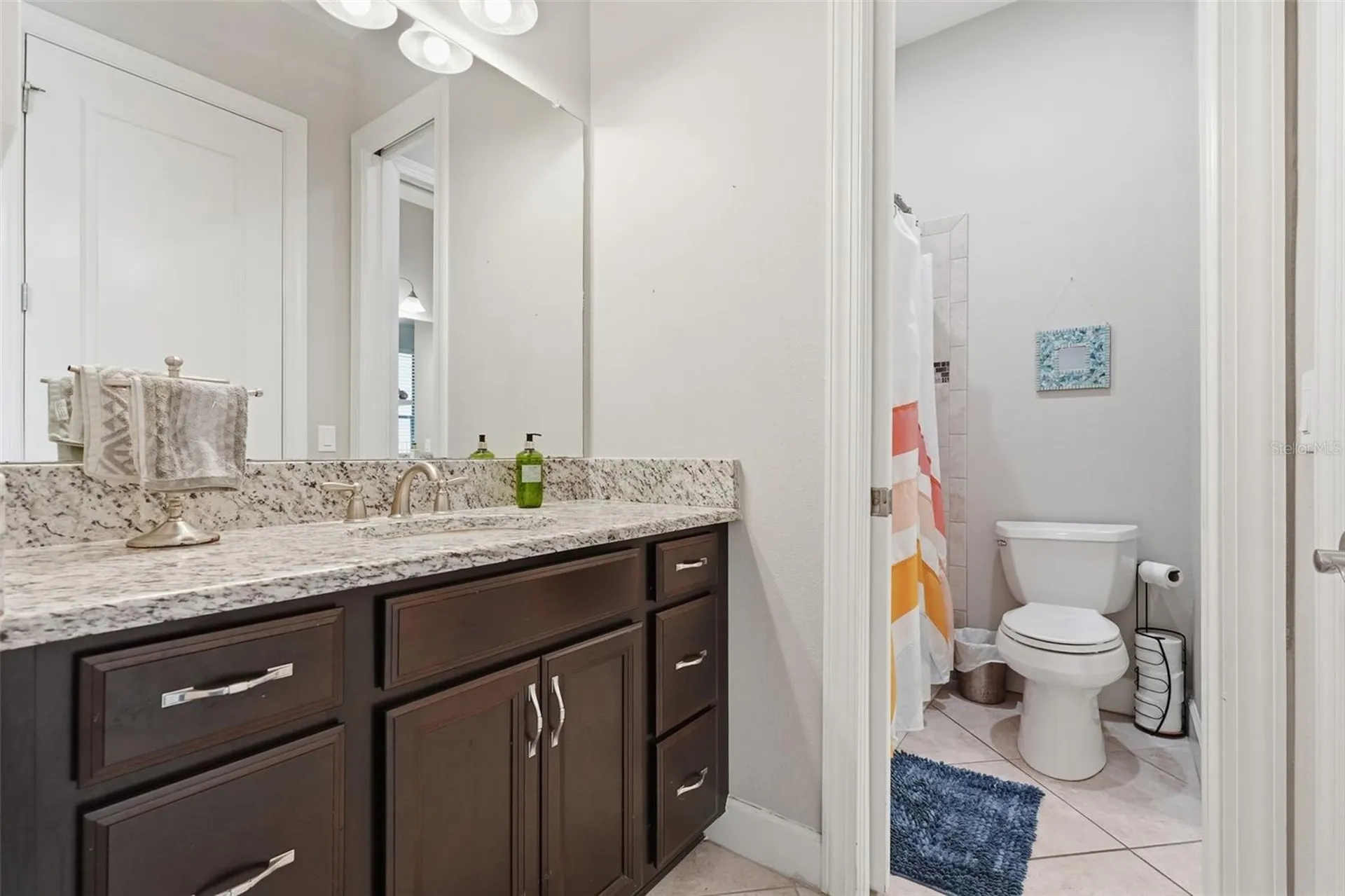 1501 Amarone Place Lutz FL 33548