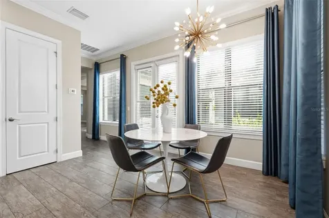 1501 Amarone Place Lutz FL 33548