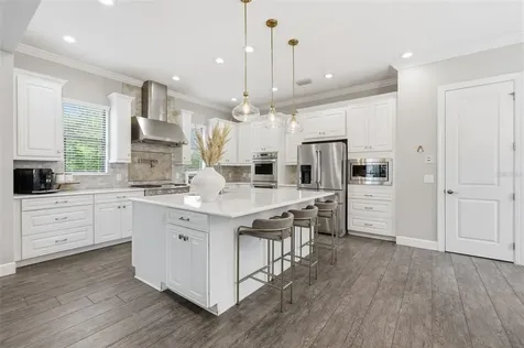 1501 Amarone Place Lutz FL 33548