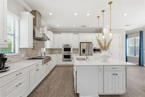 1501 Amarone Place Lutz FL 33548
