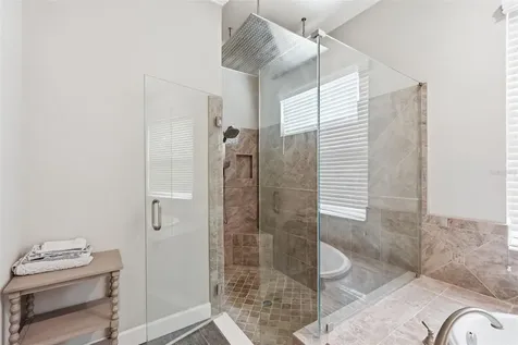 1501 Amarone Place Lutz FL 33548