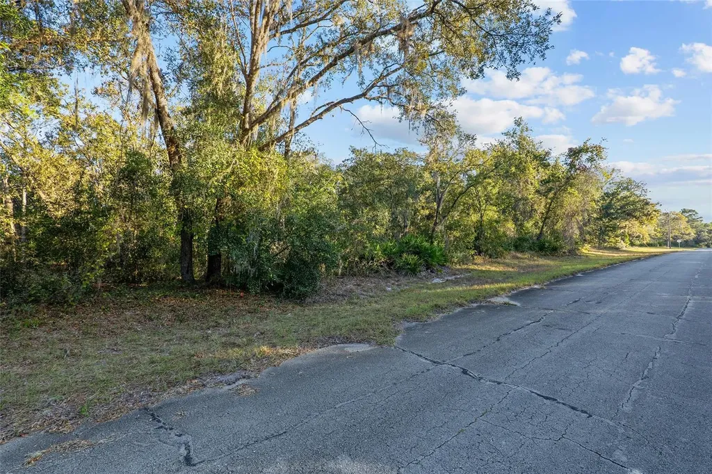Tbd SW 174 Place Ocala FL 34473