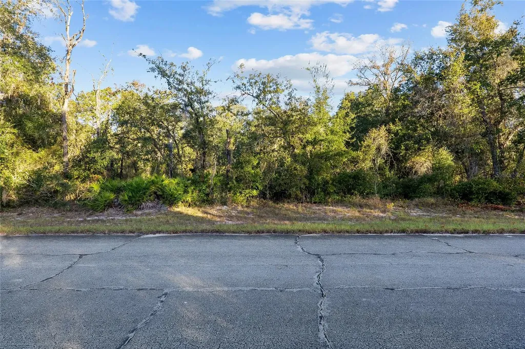 Tbd SW 174 Place Ocala FL 34473