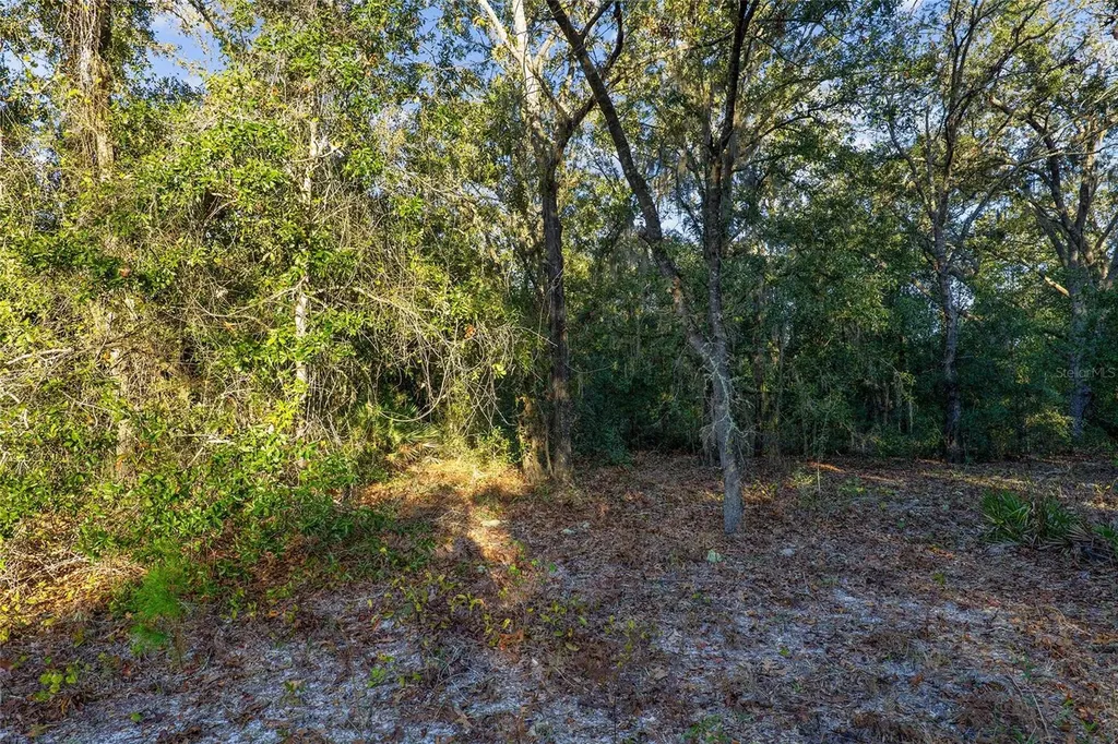 Tbd SW 174 Place Ocala FL 34473