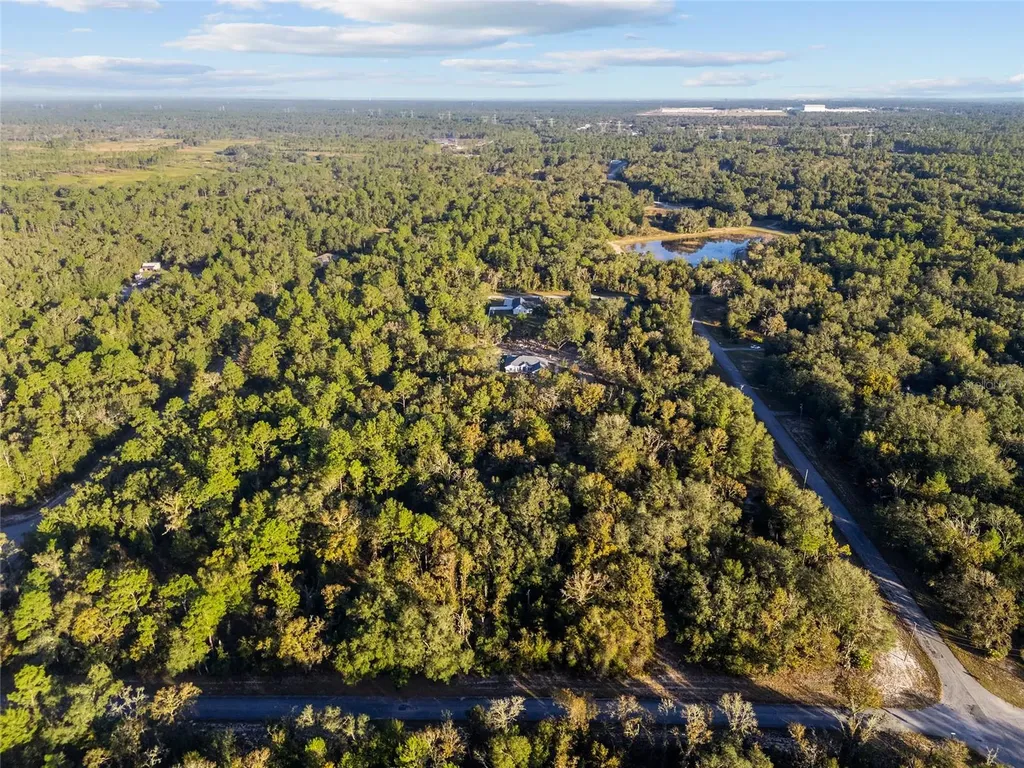Tbd SW 174 Place Ocala FL 34473