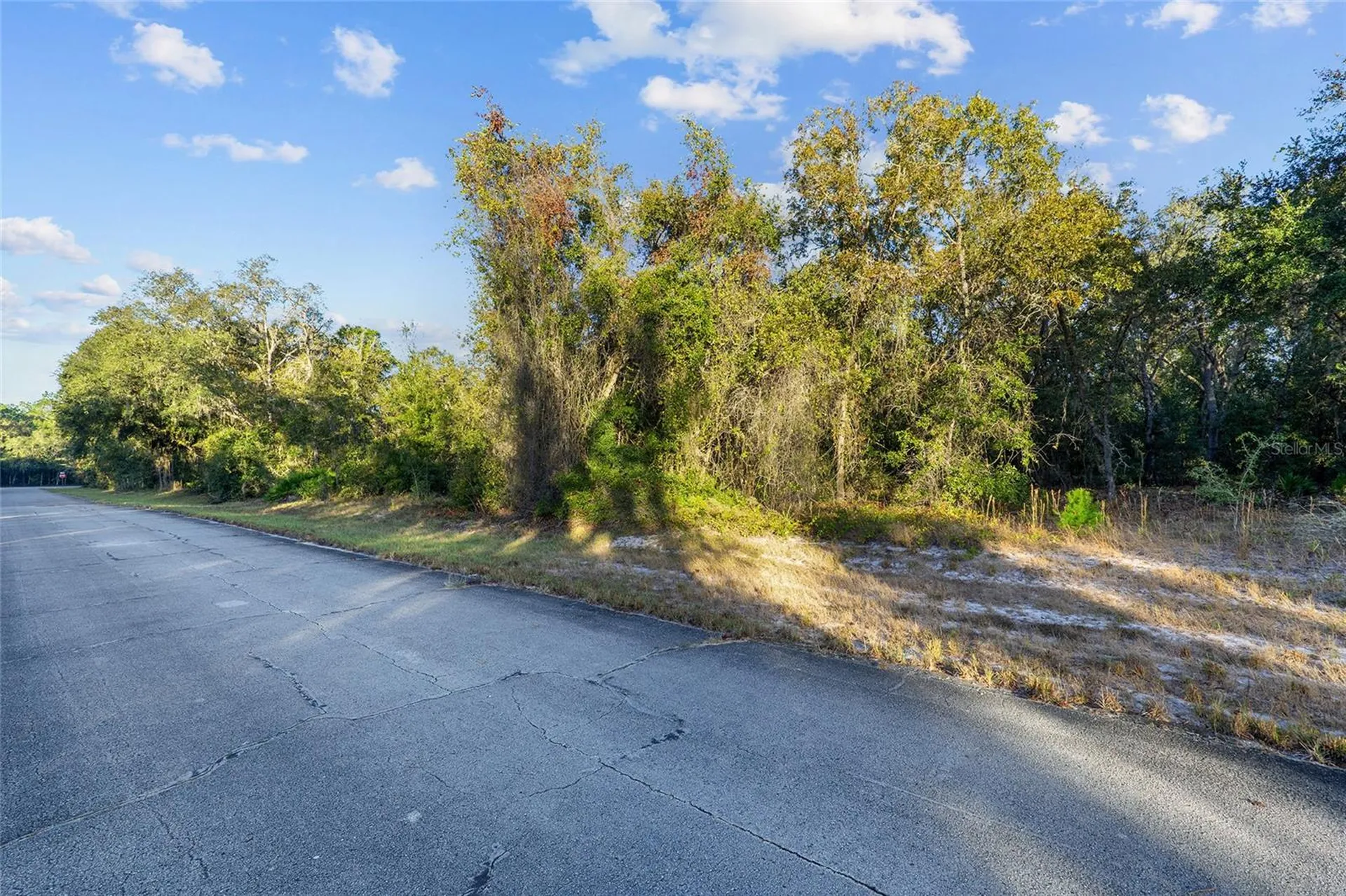 Tbd SW 174 Place Ocala FL 34473
