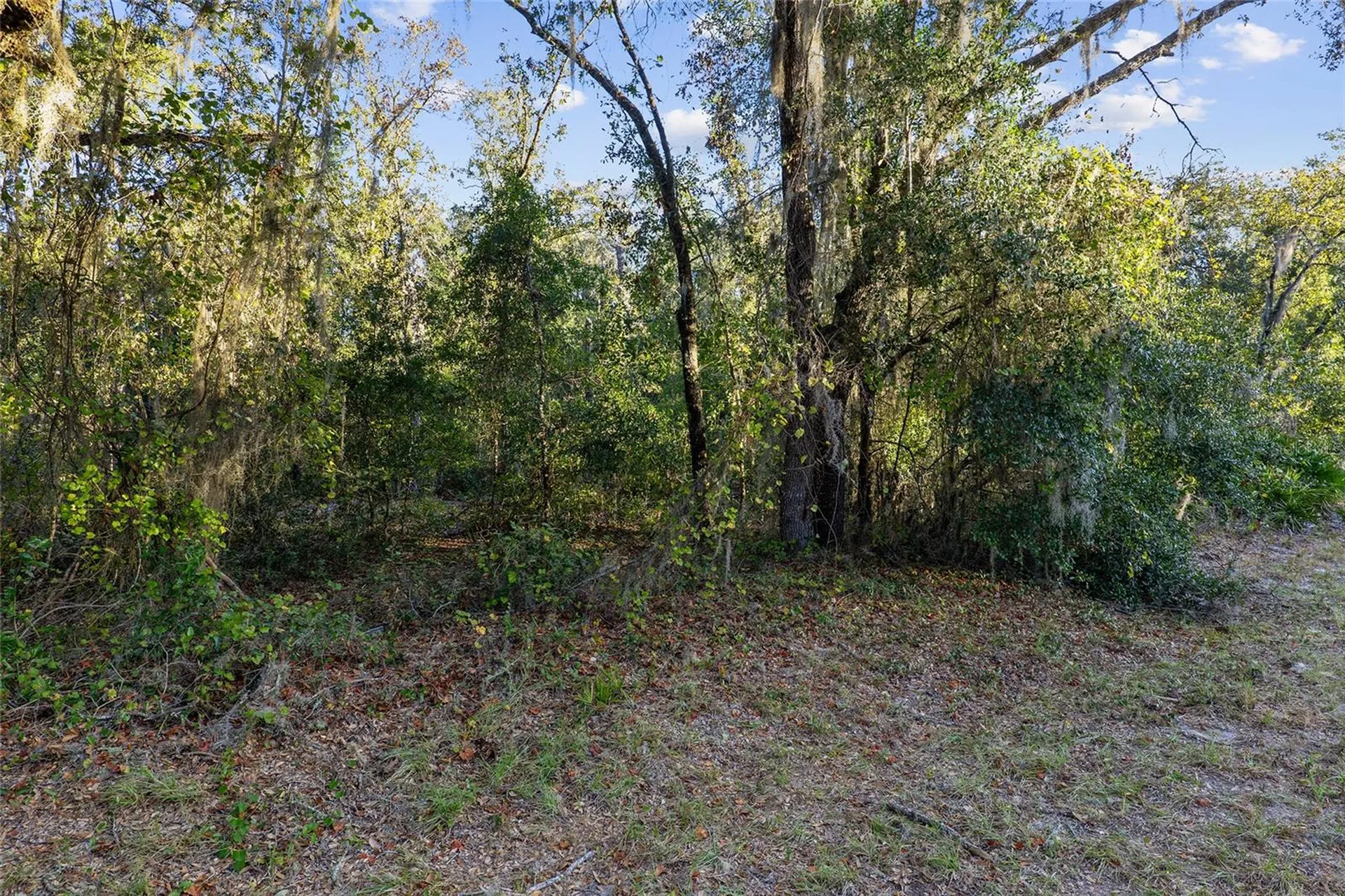 Tbd SW 174 Place Ocala FL 34473