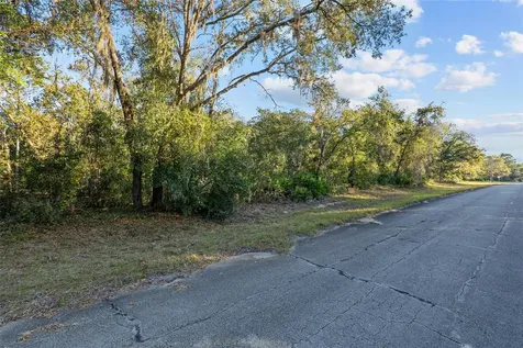 Tbd SW 174 Place Ocala FL 34473