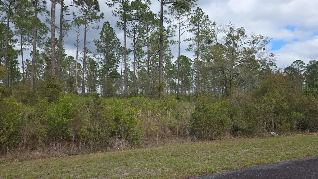 Lot 9 NW Natalie Way Lake City FL 32055