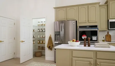 3439 Hickory Hammock Loop Wesley Chapel FL 33544