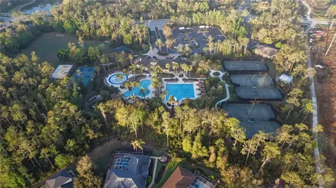 3439 Hickory Hammock Loop Wesley Chapel FL 33544