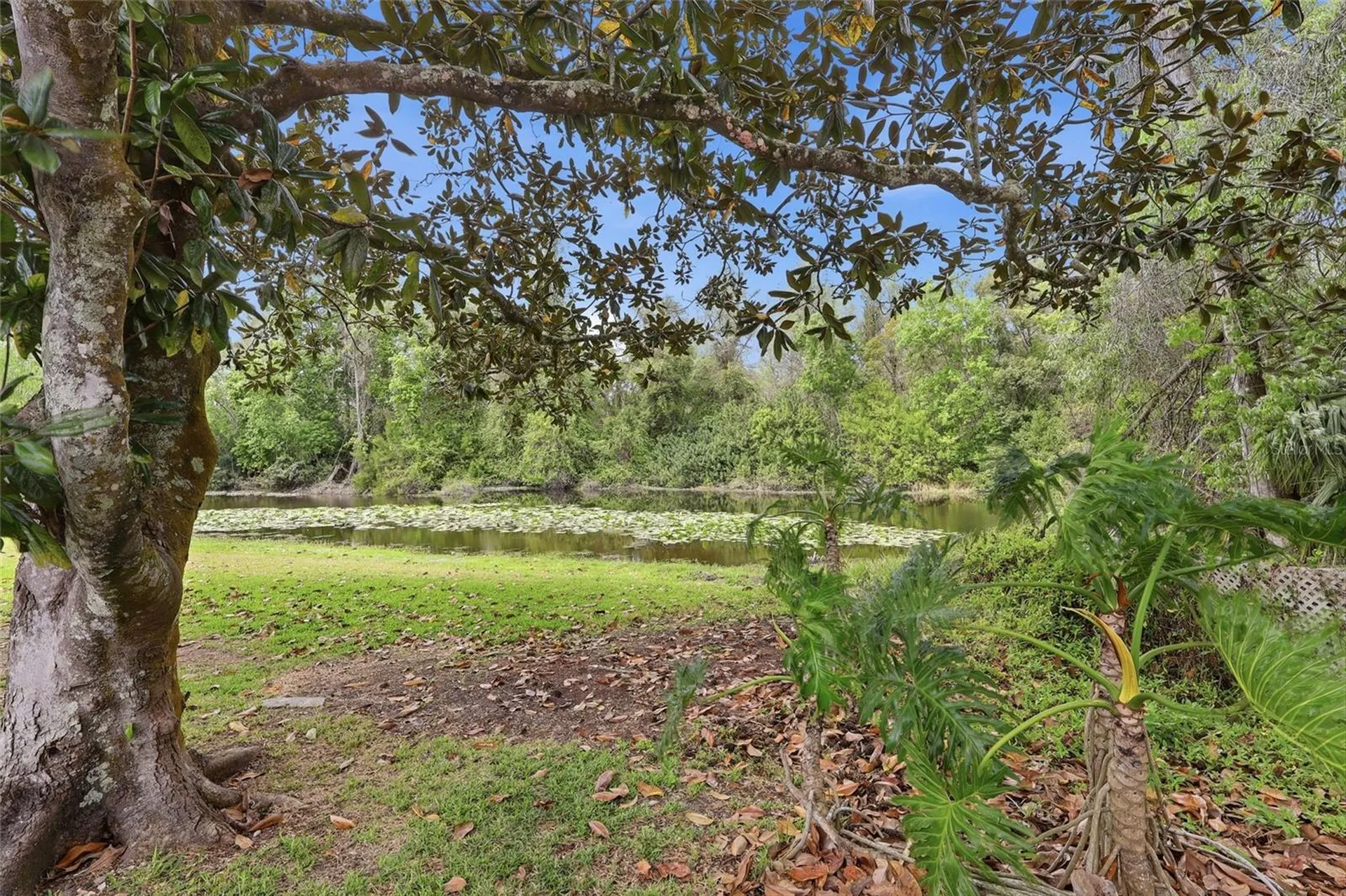7209 Magnolia Valley Drive New Port Richey FL 34653