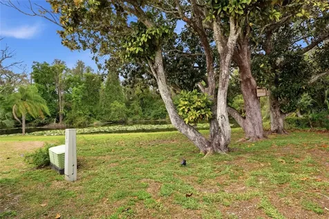 7209 Magnolia Valley Drive New Port Richey FL 34653