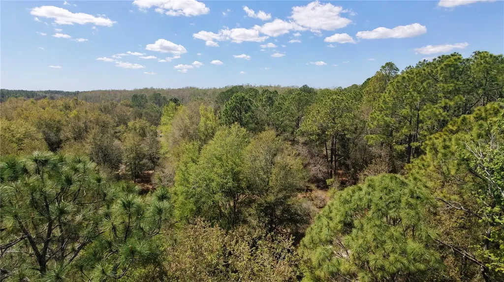 Los Robles Drive Groveland FL 34736