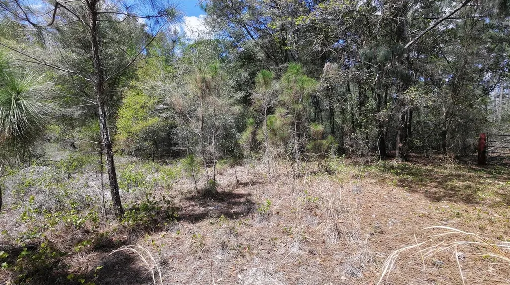 Los Robles Drive Groveland FL 34736