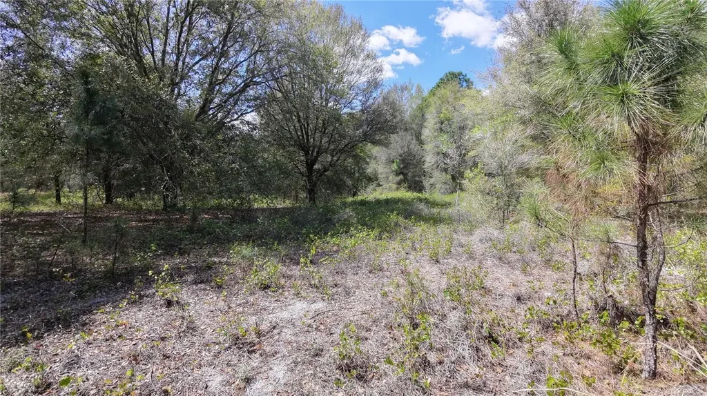Los Robles Drive Groveland FL 34736