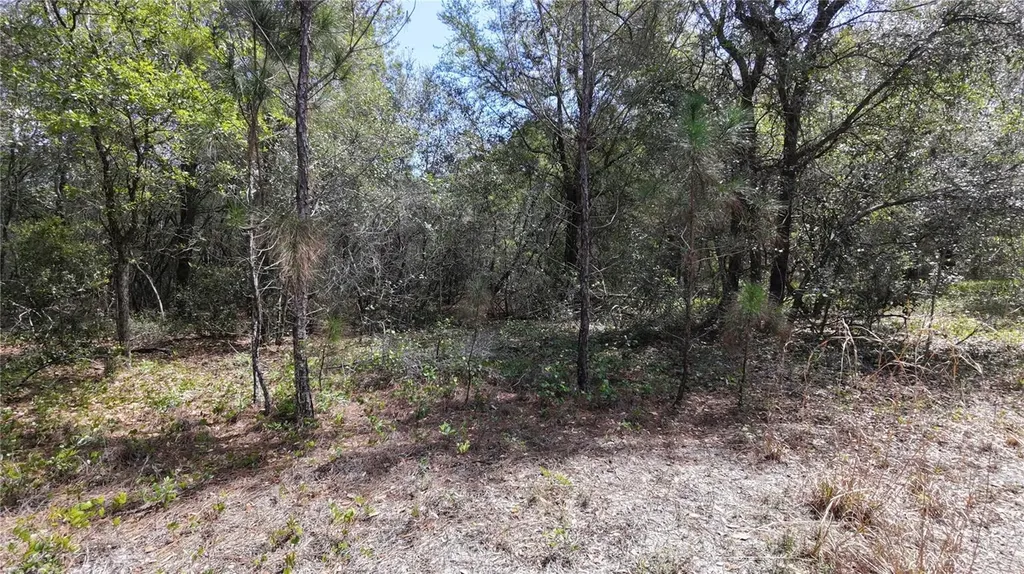 Los Robles Drive Groveland FL 34736