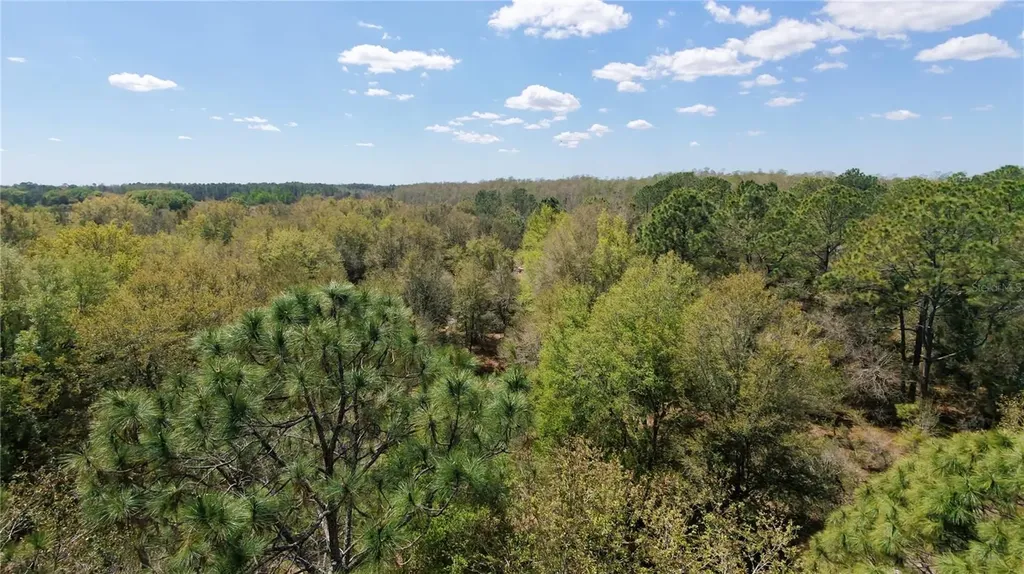 Los Robles Drive Groveland FL 34736