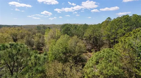 Los Robles Drive Groveland FL 34736