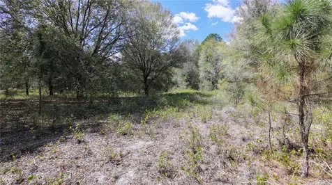 Los Robles Drive Groveland FL 34736