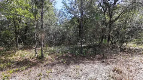 Los Robles Drive Groveland FL 34736