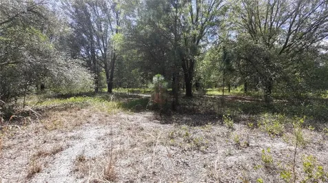 Los Robles Drive Groveland FL 34736