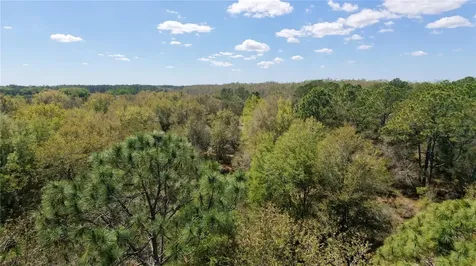 Los Robles Drive Groveland FL 34736