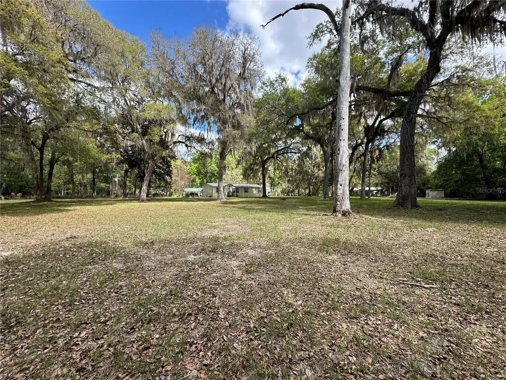 2351 NW 186th Lane Citra FL 32113