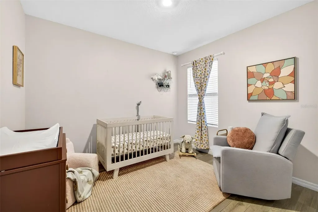32865 Brooks Hawk Lane Wesley Chapel FL 33543