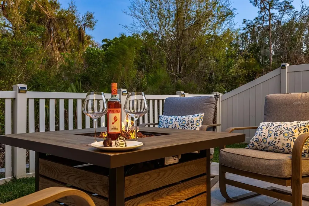 32865 Brooks Hawk Lane Wesley Chapel FL 33543