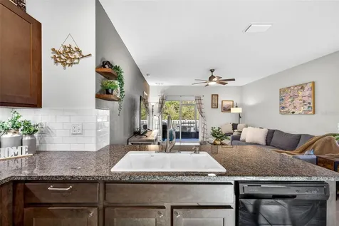 32865 Brooks Hawk Lane Wesley Chapel FL 33543
