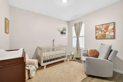 32865 Brooks Hawk Lane Wesley Chapel FL 33543
